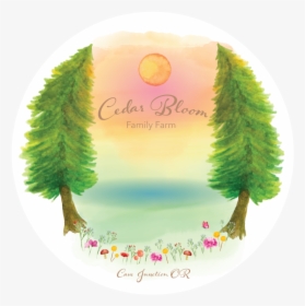 Cedar Bloom Logo Transparent Background 2 - Cedar Bloom Camp, HD Png Download, Free Download