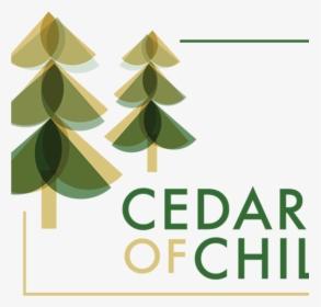 Cedars Of Chili - Christmas Tree, HD Png Download, Free Download