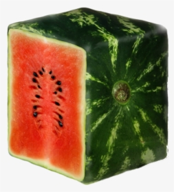 Square Watermelon Png, Transparent Png, Free Download