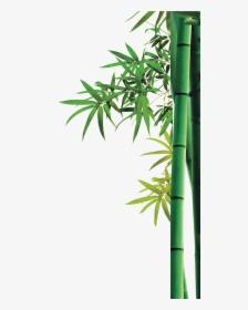 Bamboo Png Images Free Download - Png Transparent Background Bamboo Png, Png Download, Free Download
