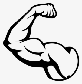 Muscle Png, Transparent Png, Free Download