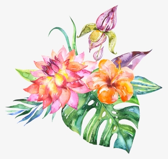 Fleurs Flores Flowers Bloemen - Tropical Flowers Transparent Background, HD Png Download, Free Download
