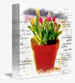 Watercolor Pot Of Tulips By Elizabeth Mix - Flowerpot, HD Png Download, Free Download