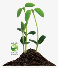 Natural Origins® Made With Gen7v® Plant Based Biopolymer - Houseplant, HD Png Download, Free Download