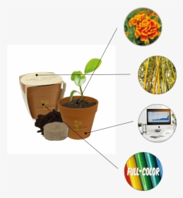 "   Class="top100 Items M - Pot A Plant Kit, HD Png Download, Free Download
