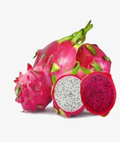 Dragon Fruit Png Image , Png Download - Dragon Fruit Transparent Background, Png Download, Free Download