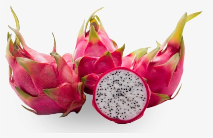 Pitaya , Png Download - High Resolution Dragon Fruit, Transparent Png, Free Download