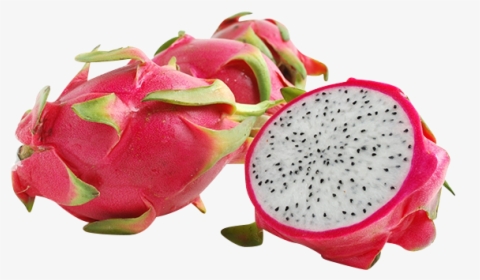 Dragon Fruit, Each"     Data Rimg="lazy"  Data Rimg - Strawberry And Dragon Fruit, HD Png Download, Free Download