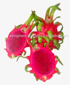 Song Nam Red Flesh Dragon Fruit From Vietnam - Pitaya, HD Png Download, Free Download