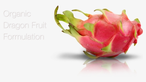 Organic Dragon Fruit Formulation - Pitaya, HD Png Download, Free Download