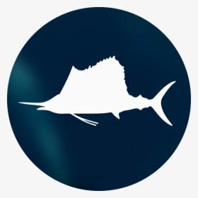 Sailfish-circle - Sailfish, HD Png Download, Free Download