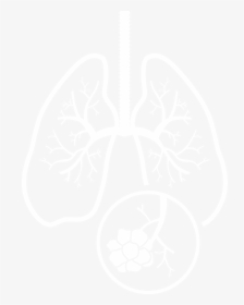 Lung, HD Png Download, Free Download