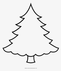 Árvore De Natal Desenho Para Colorir - Cute Christmas Tree Drawings Easy,  HD Png Download - kindpng