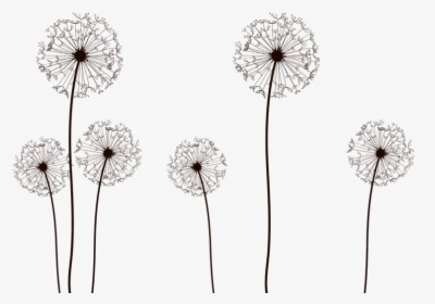 Dandelion Clipart Large - Vector Dandelion Png, Transparent Png, Free Download