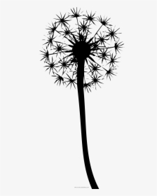 Dandelion Coloring Page - Dandelion Colouring Pages, HD Png Download, Free Download