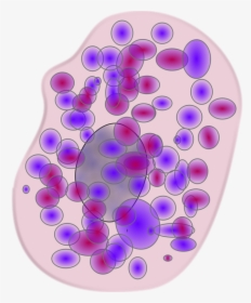 Transparent Human Cell Png - Mastocito O Celula Cebada, Png Download, Free Download