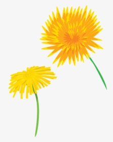 Flower, Dandelion, Plants, Nature, Seeds, Flowers - Dandelion, HD Png Download, Free Download