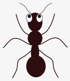 Ants Vector Png - Ant Clip Art, Transparent Png, Free Download