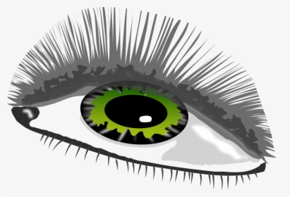 Eye Brand Close-up - Eyelash Extensions, HD Png Download, Free Download