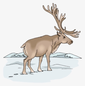 Pair Of Moose Clipart Transparent Background, HD Png Download, Free Download