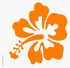 Coral Clipart Hibiscus - Orange Hibiscus Flower Clipart, HD Png Download, Free Download