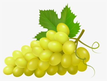 Svg Royalty Free Grapes Clipart Watercolor - Uvas Clipart, HD Png Download, Free Download