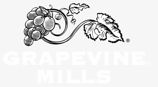Grapevine Vector Black And White - Black And White Grapevine, HD Png Download, Free Download