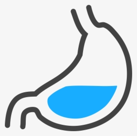 Png Images Stomach Id 21722 Water In Stomach - Stomach Acid Clipart, Transparent Png, Free Download