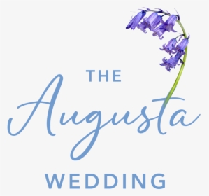 Augusta - Delphinium, HD Png Download, Free Download