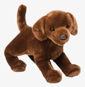 Chocolate Lab Png, Transparent Png, Free Download