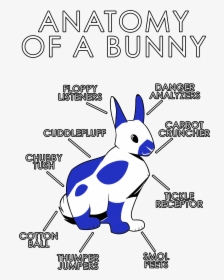 Anatomy Of A Bunny - Rabbit, HD Png Download, Free Download