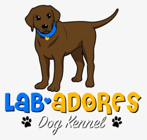 Lab-adores - Labrador Retriever, HD Png Download, Free Download