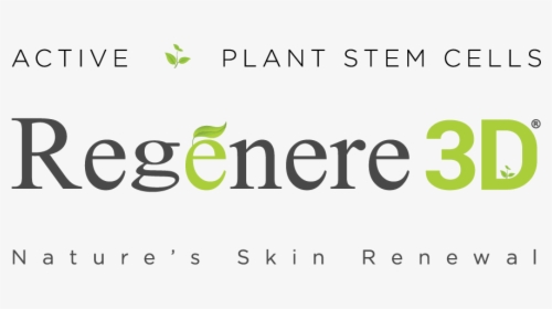 Transparent Plant Stem Png - Graphic Design, Png Download, Free Download