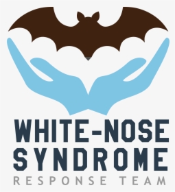Transparent Nose Png - White Nose Syndrome Response Team, Png Download, Free Download