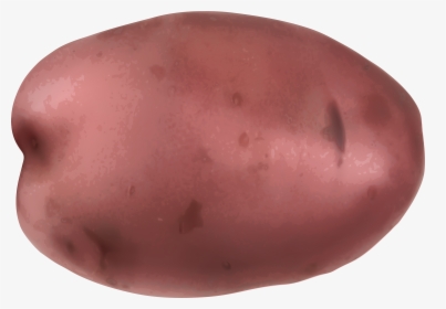 Pink Potato Png Clip - Potato Clipart Transparent, Png Download, Free Download