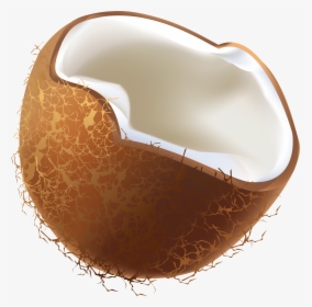 Download And Use Coconut Png - Transparent Coconut Vector Png, Png Download, Free Download