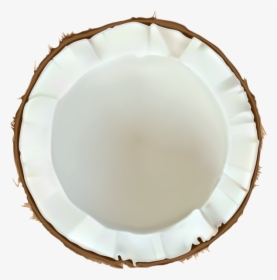 Coconut Png Images - Coconut, Transparent Png, Free Download