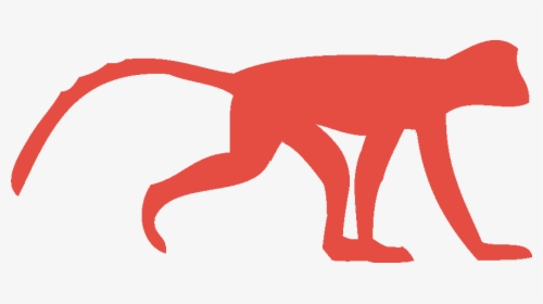 Legal Monkeys, HD Png Download, Free Download
