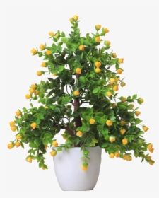 Flower Pot Png -lightbox Moreview - Pot Plant Transparent Png, Png Download, Free Download