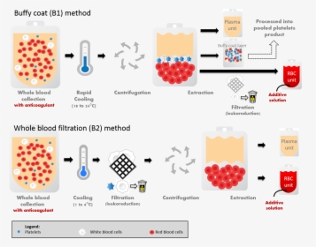 Blood Transfusion Components, HD Png Download, Free Download