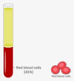 Animation Slide Showing The 45% Or Red Blood Cells - Red Blood Cells Centrifuge, HD Png Download, Free Download