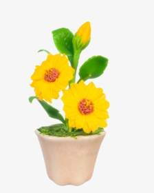 Sunflowers In A Pot Dollhouse Miniature - English Marigold, HD Png Download, Free Download
