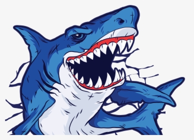 Shark Quote Tshirt 01 Hq - Shark, HD Png Download, Free Download