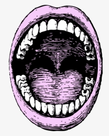Drawing Shark Open Mouth - Man Open Mouth Drawing, HD Png Download, Free Download
