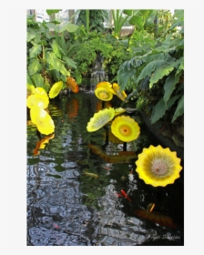 Sunflower, HD Png Download, Free Download