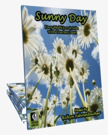 Multi Level Solo By Robyn Fehrenbacher"  Title="sunny - Camomile, HD Png Download, Free Download