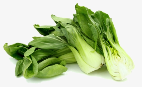 Download Bok Choy Png Photos - Bok Choy, Transparent Png, Free Download