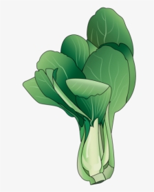 Cartoon Bok Choy Picture Of Pechay, HD Png Download, Free Download