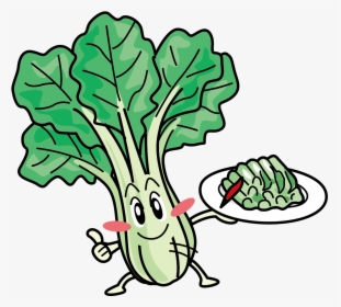 Cabbage Clipart Bok Choy - Bok Choy Clipart, HD Png Download, Free Download
