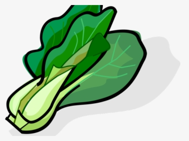 Bok Choy Clipart Single Vegetable - Bok Choy Clipart, HD Png Download, Free Download